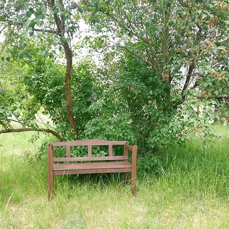 Ehemalige Bibliothek Apartment Fuer 2 Mit Kueche Kamin Netflix Parken Und Hofladen Steinhofel Exterior photo