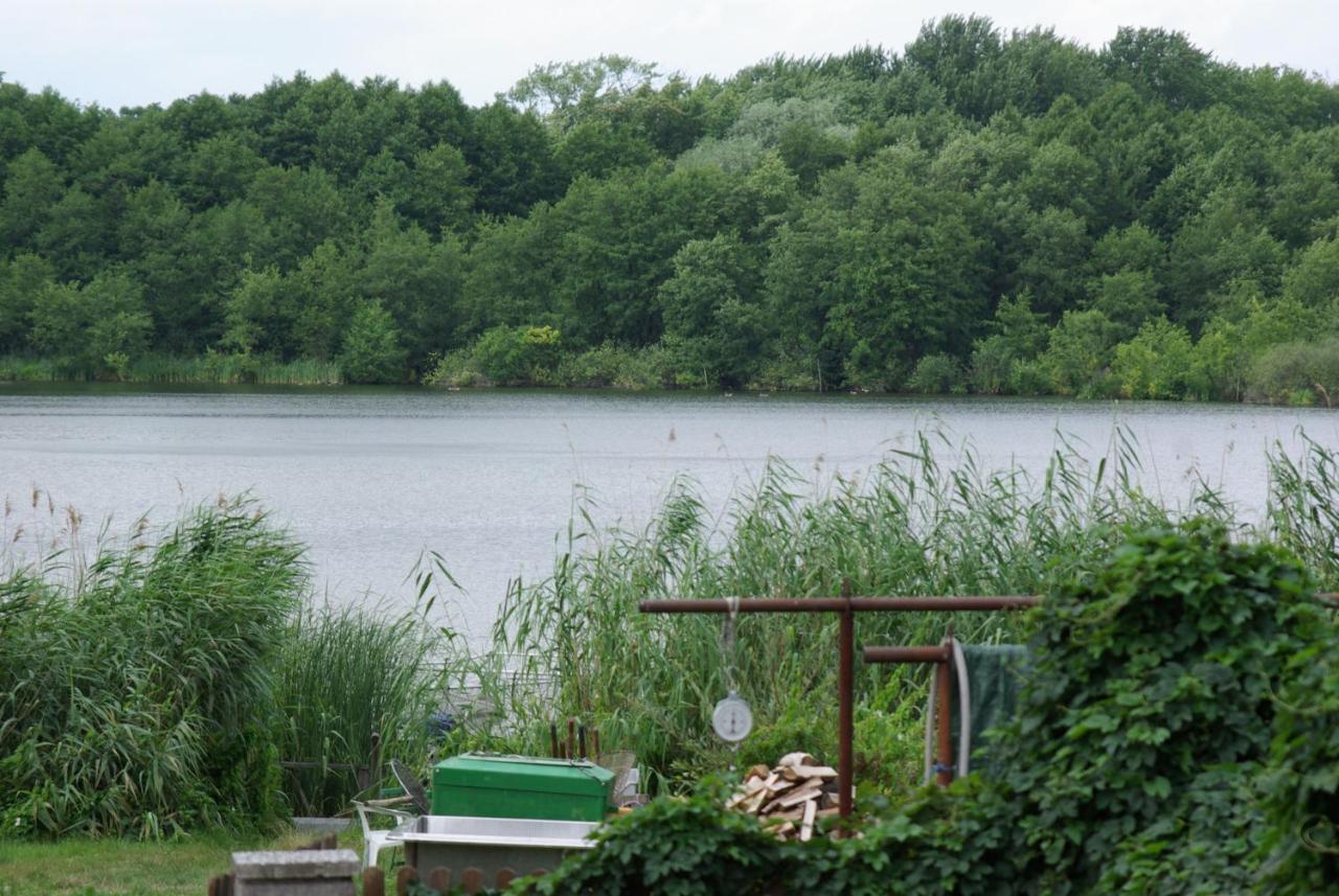 Ehemalige Bibliothek Fuer 2 Mit Kueche Kamin Netflix Parken Und Hofladen Apartment *