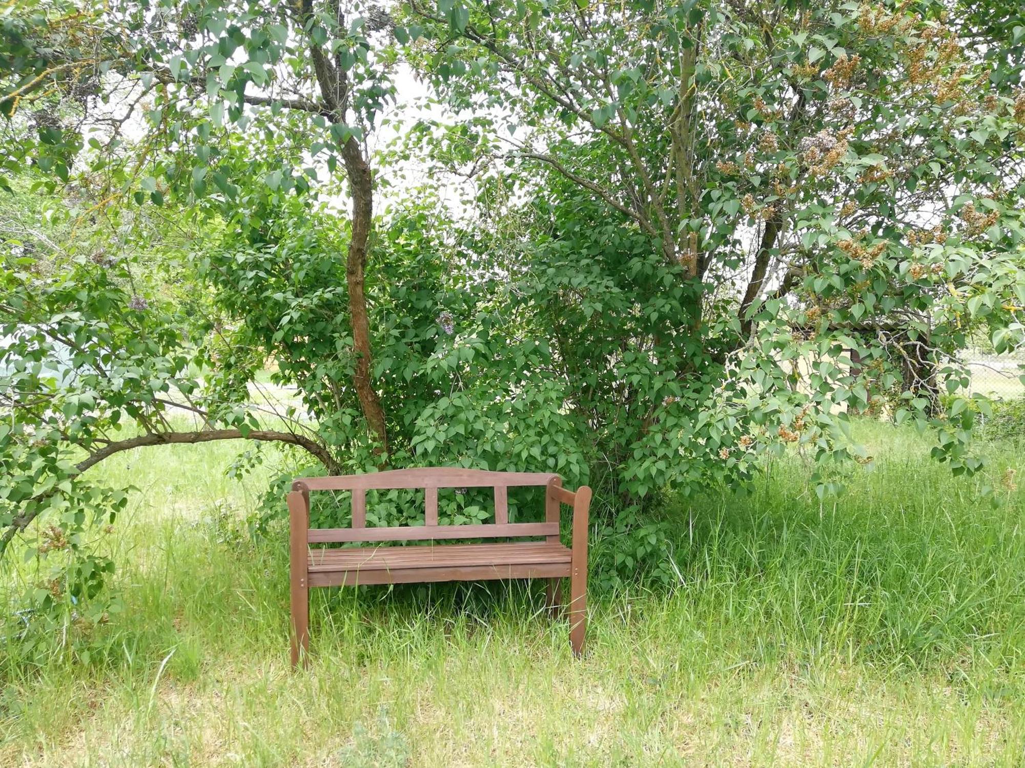 Ehemalige Bibliothek Fuer 2 Mit Kueche Kamin Netflix Parken Und Hofladen Apartment *